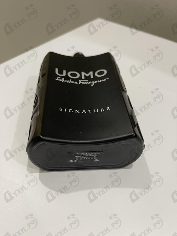 Купить Salvatore Ferragamo Uomo Salvatore Ferragamo Signature