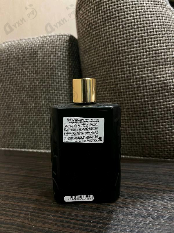 Купить Uomo Salvatore Ferragamo Signature от Salvatore Ferragamo