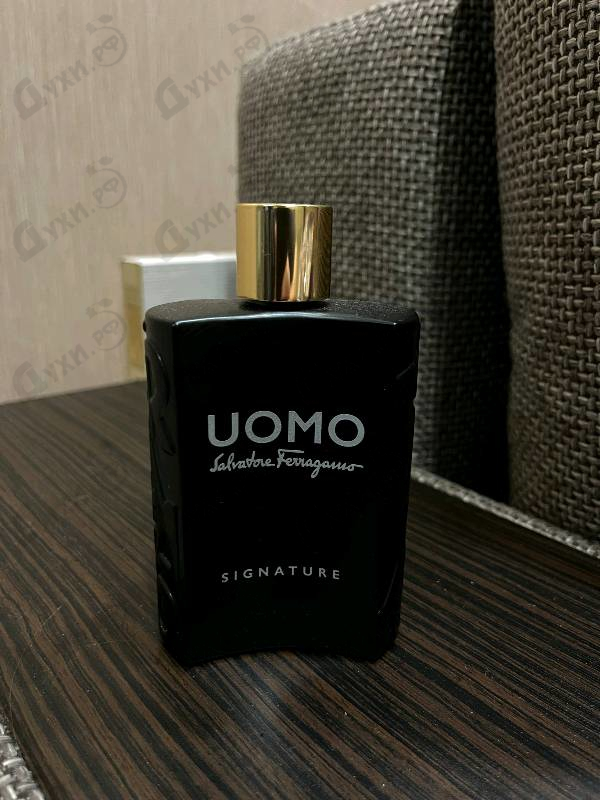 Духи Uomo Salvatore Ferragamo Signature от Salvatore Ferragamo