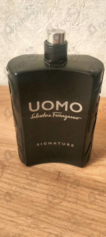 Купить Uomo Salvatore Ferragamo Signature от Salvatore Ferragamo