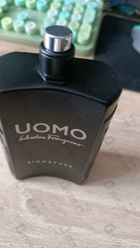 Парфюмерия Salvatore Ferragamo Uomo Salvatore Ferragamo Signature