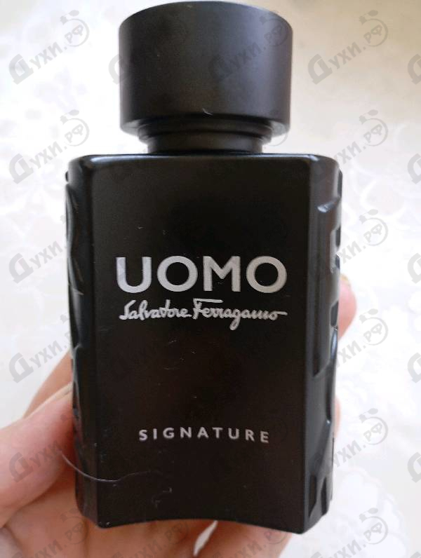 Купить Uomo Salvatore Ferragamo Signature от Salvatore Ferragamo