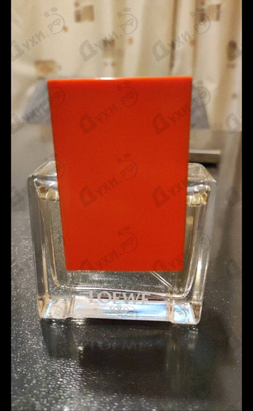 Купить Solo Loewe Ella от Loewe