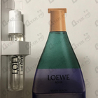 Отзыв Loewe Agua Miami Beach