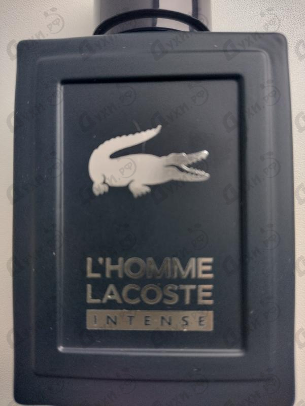 Купить Lacoste L'homme Intense