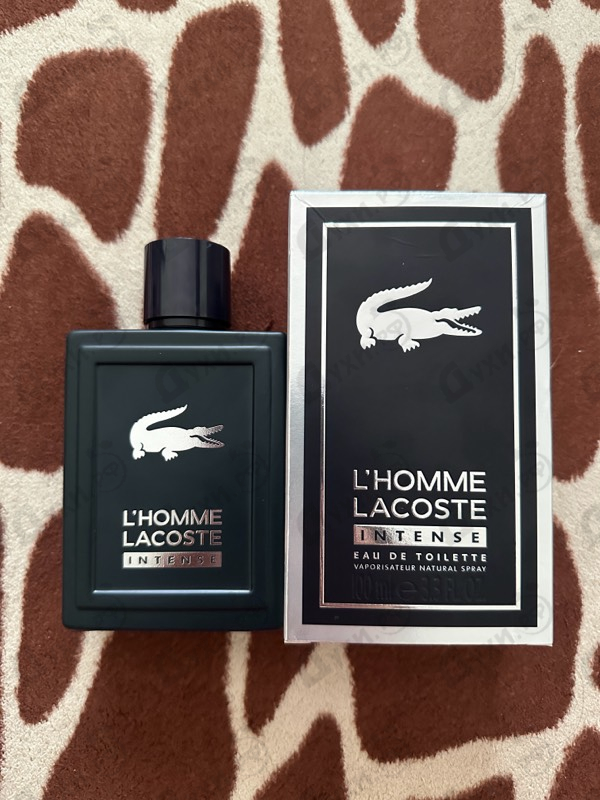 Отзыв Lacoste L'homme Intense
