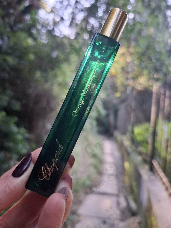 Купить Orange Mauresque от Chopard