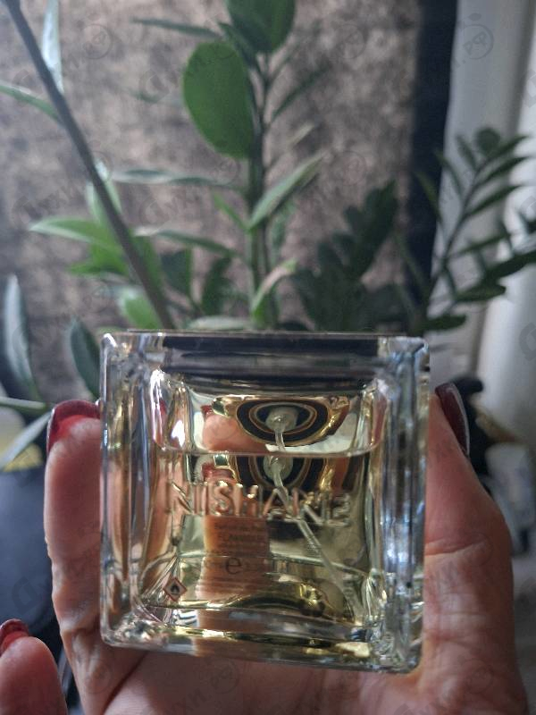 Купить Wulong Cha от Nishane