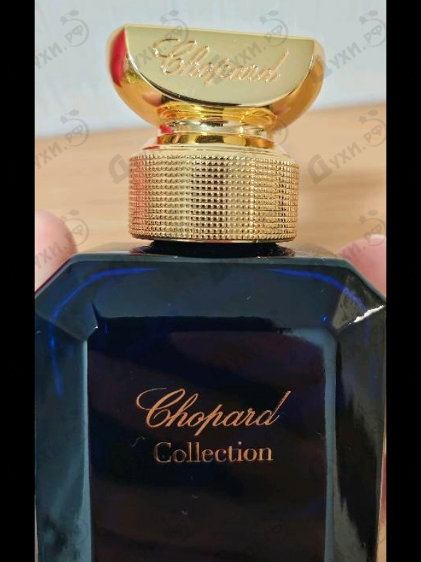 Отзыв Chopard Vetiver D'haiti Au The Vert