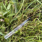 Отзыв Chopard Vetiver D'haiti Au The Vert