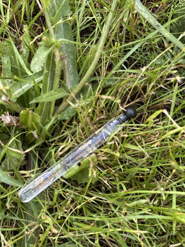 Купить Vetiver D'haiti Au The Vert от Chopard