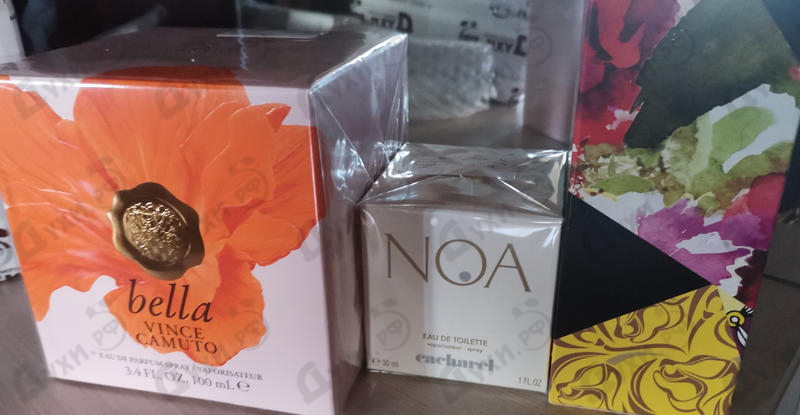 Духи Bella от Vince Camuto