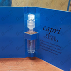 Отзыв Vince Camuto Capri