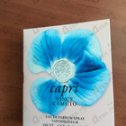 Отзывы Vince Camuto Capri