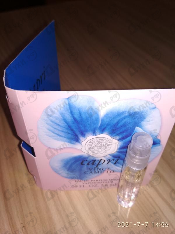 Отзывы Vince Camuto Capri