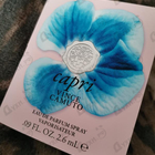 Отзыв Vince Camuto Capri