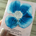 Отзыв Vince Camuto Capri