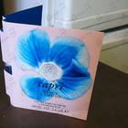 Отзыв Vince Camuto Capri