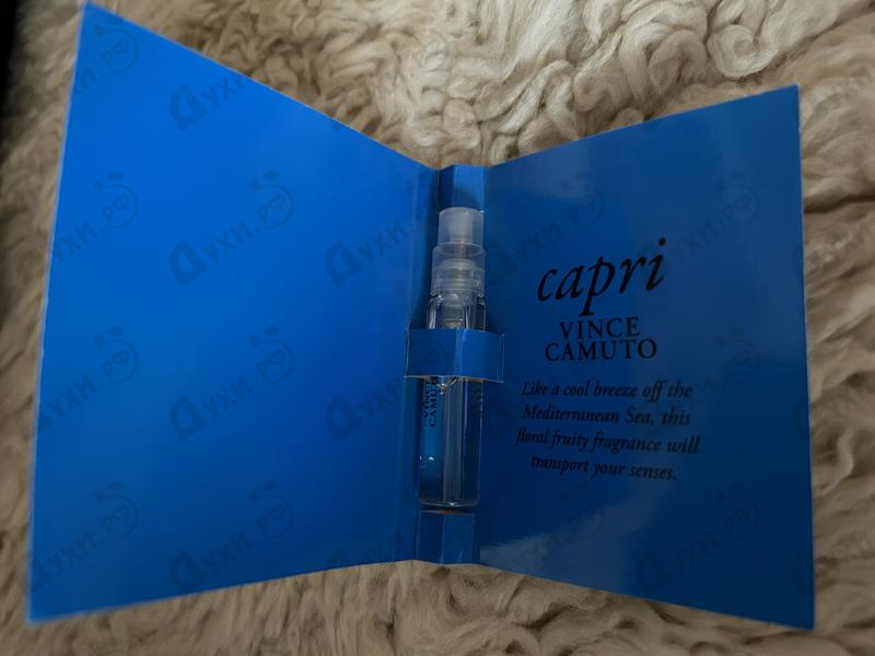 Купить Capri от Vince Camuto