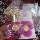 Отзыв Vince Camuto Ciao