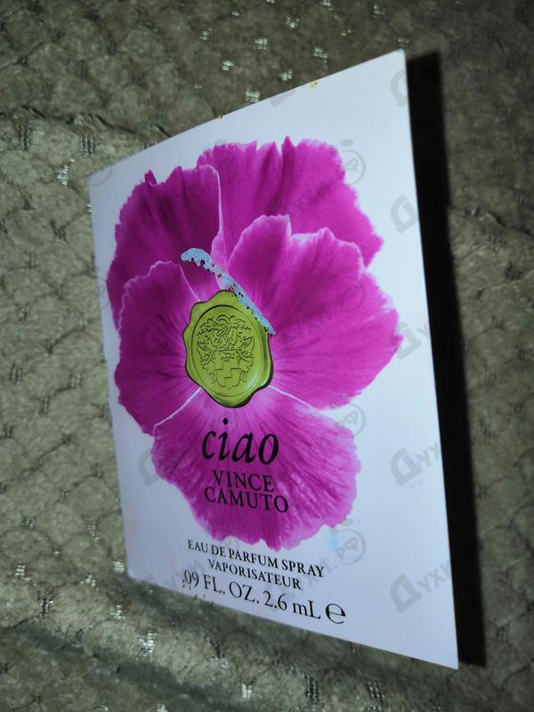 Отзыв Vince Camuto Ciao