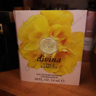 Отзывы Vince Camuto Divina