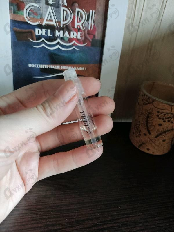 Купить Divina от Vince Camuto