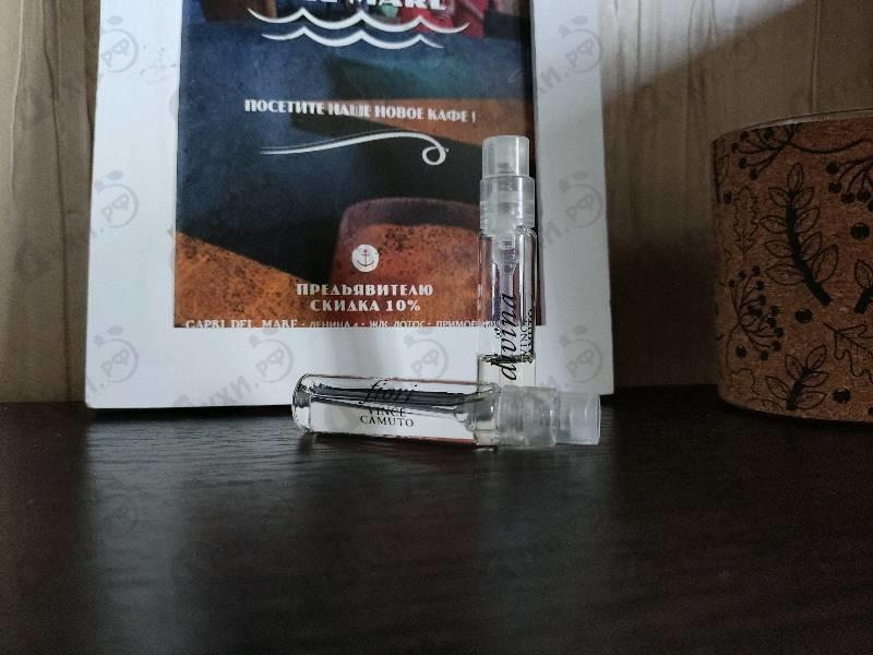 Купить Divina от Vince Camuto