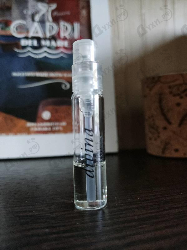 Купить Divina от Vince Camuto