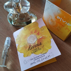 Духи Divina от Vince Camuto