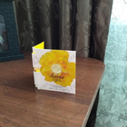 Отзыв Vince Camuto Divina