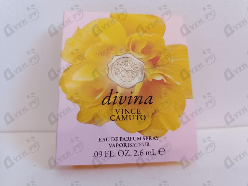 Купить Divina от Vince Camuto
