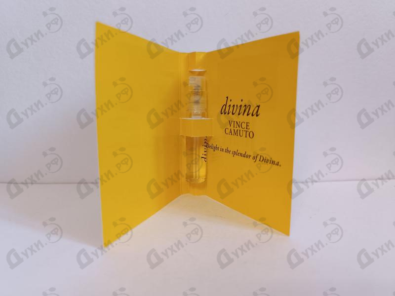 Купить Divina от Vince Camuto