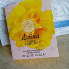 Отзывы Vince Camuto Divina