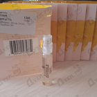 Парфюм Vince Camuto Divina