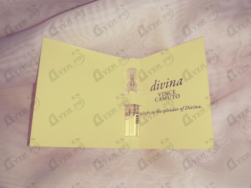 Парфюмерия Divina от Vince Camuto
