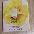 Отзыв Vince Camuto Divina