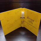 Духи Divina от Vince Camuto