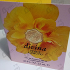 Отзыв Vince Camuto Divina