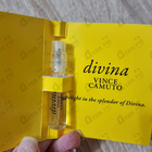 Отзыв Vince Camuto Divina