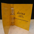 Отзыв Vince Camuto Divina