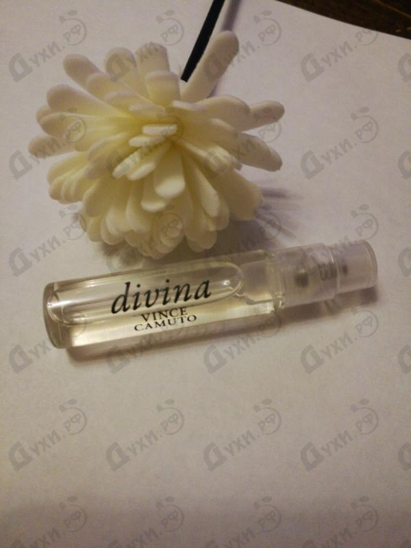 Купить Vince Camuto Divina