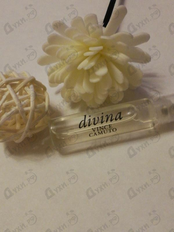 Купить Divina от Vince Camuto