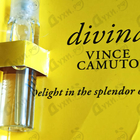 Отзывы Vince Camuto Divina