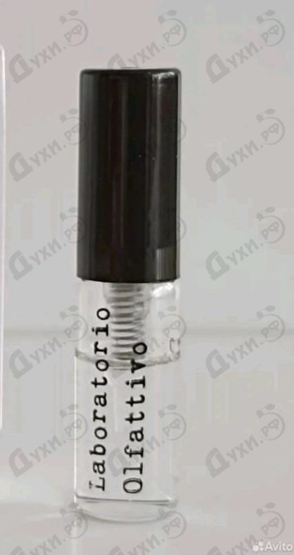 Купить Laboratorio Olfattivo Need-u