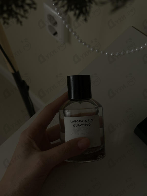 Отзыв Laboratorio Olfattivo Need-u