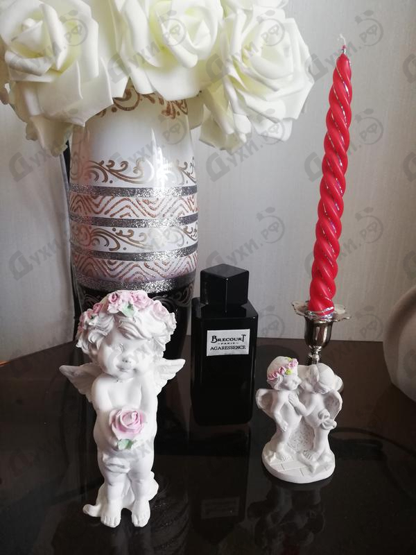 Купить Agaressence от Brecourt