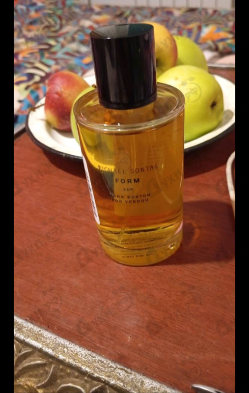 Купить Verduu Michael Sontag Form