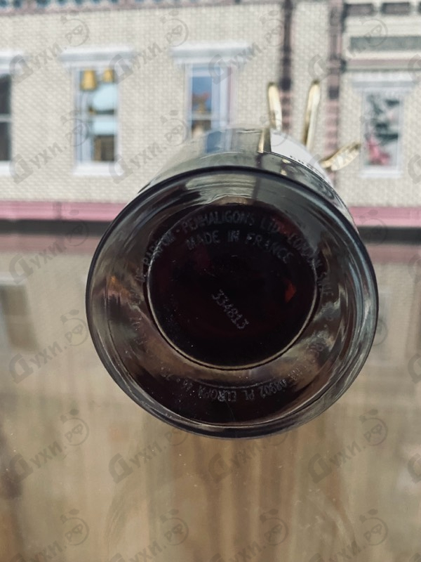 Купить Changing Constance от Penhaligon's