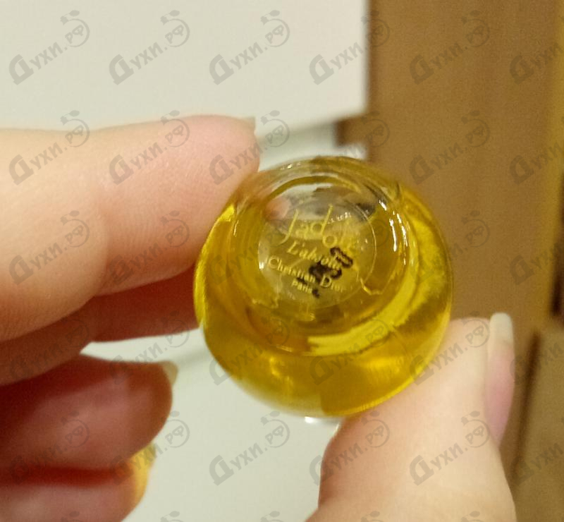 Отзыв Christian Dior J'adore Absolu (2018) Парфюмерия J'adore Absolu (2018) от Christian Dior